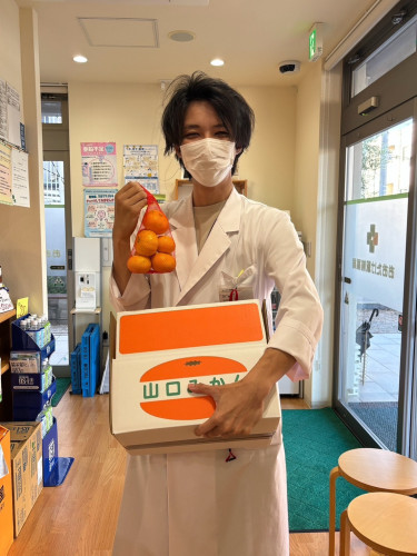 みかん販売開始のお知らせ