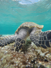GOPR0270.JPG
