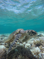 GOPR0271.JPG