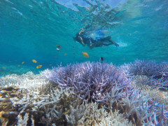 GOPR0392.JPG