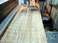 555b.jpg