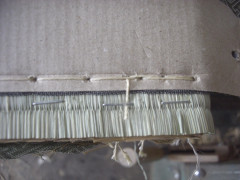 CIMG0665.JPG