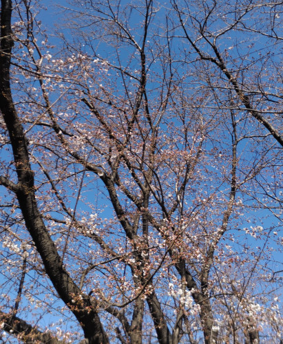 DSC_0369.JPG