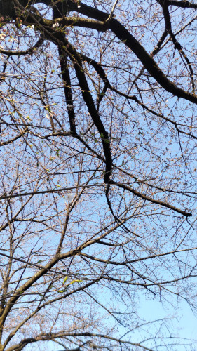 DSC_1778.JPG