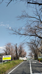 DSC_1786.JPG