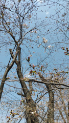 DSC_1783.JPG