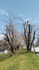 DSC_1785.JPG