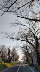 DSC_1789.JPG