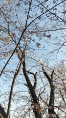 DSC_1790.JPG