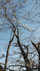 DSC_1791.JPG