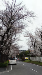 DSC_1797.JPG