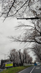 DSC_1798.JPG