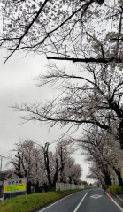 DSC_1803.JPG