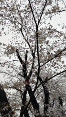 DSC_1804.JPG
