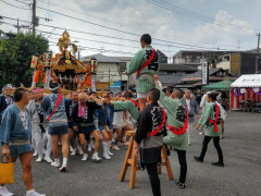 DSC_2511.JPG