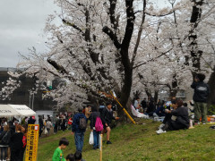 DSC_1821~3.JPG