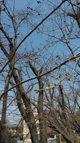 DSC_3198.JPG