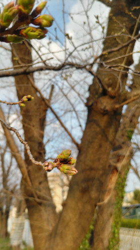 DSC_3216.JPG