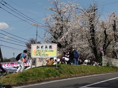 DSC_3337smnl.jpg