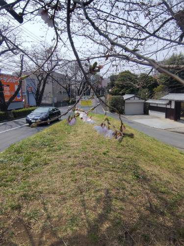 260322115828531.JPG