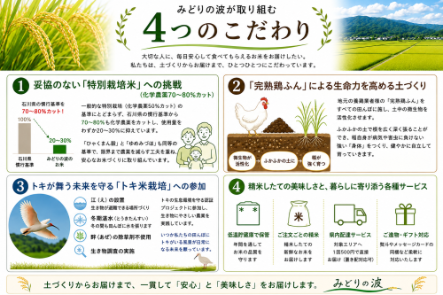 ChatGPT Image 2026年9月4日 15_38_35.png