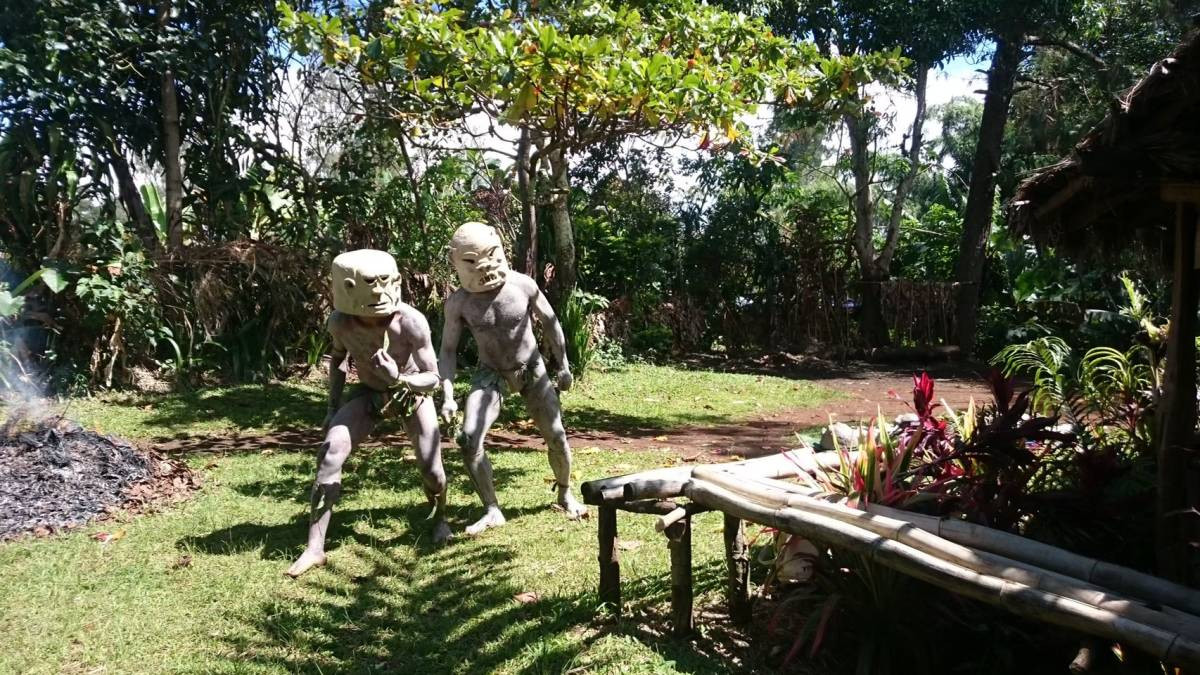 特定非営利活動法人日本・パプアニューギニア村