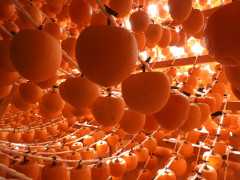 DSCN6438.JPG