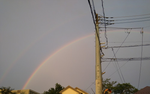 DSC_2039.JPG