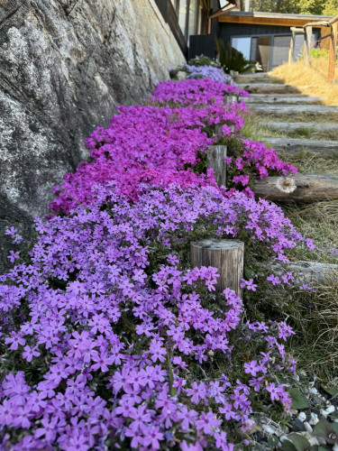 aa9a1b9f-c44c-4ed0-b816-22c7b663abb5.jpg