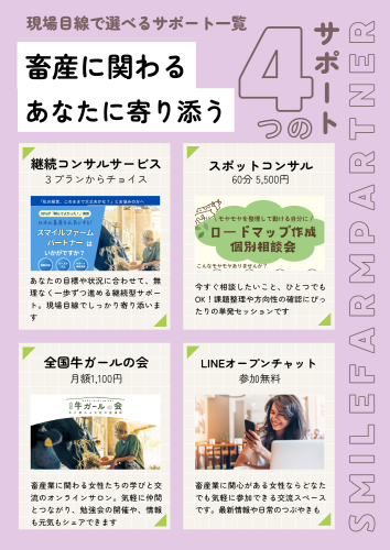 ４つのサポート.png