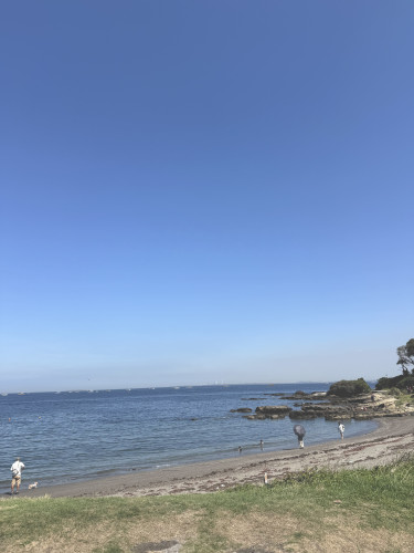 IMG_3536.jpeg