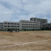 IMG_7557.jpeg