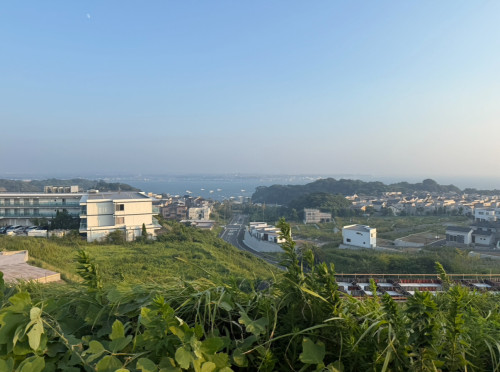 IMG_8028.jpeg