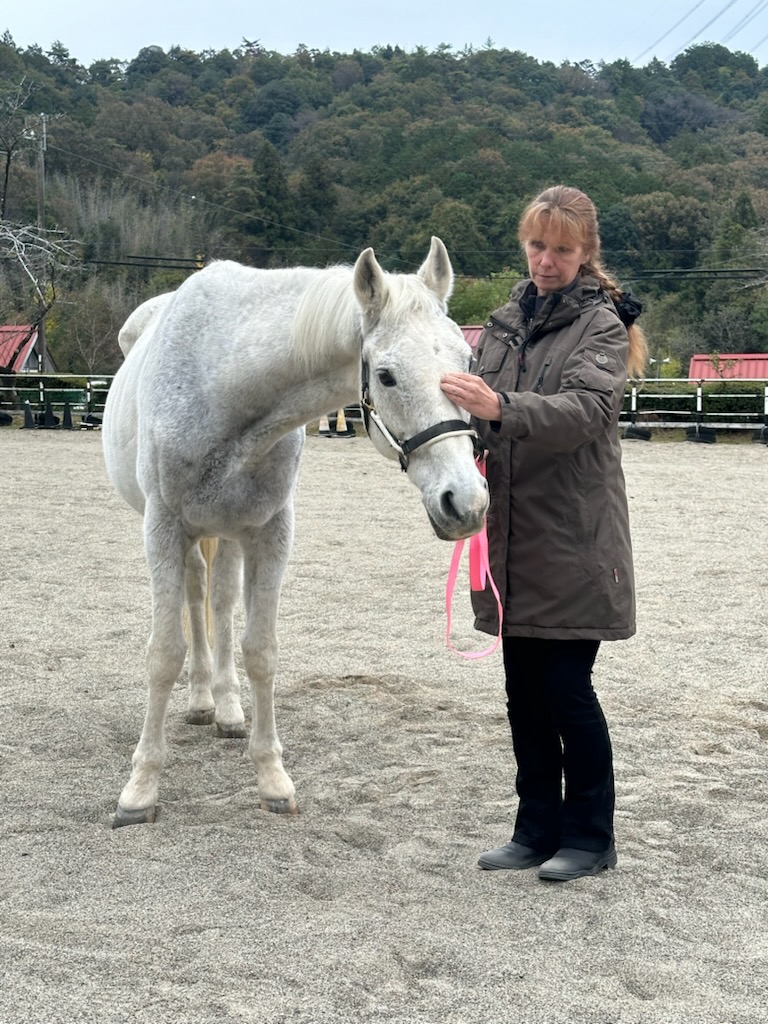 １１月馬のワークショップ in 岐阜
