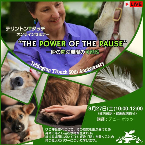 デビー先生のオンラインセミナー