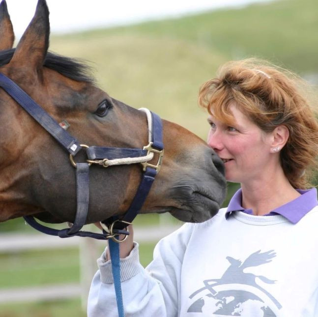 馬のワークショップ