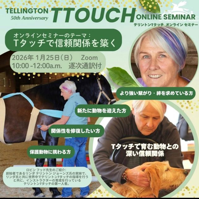 ロビン先生のTタッチオンラインセミナー