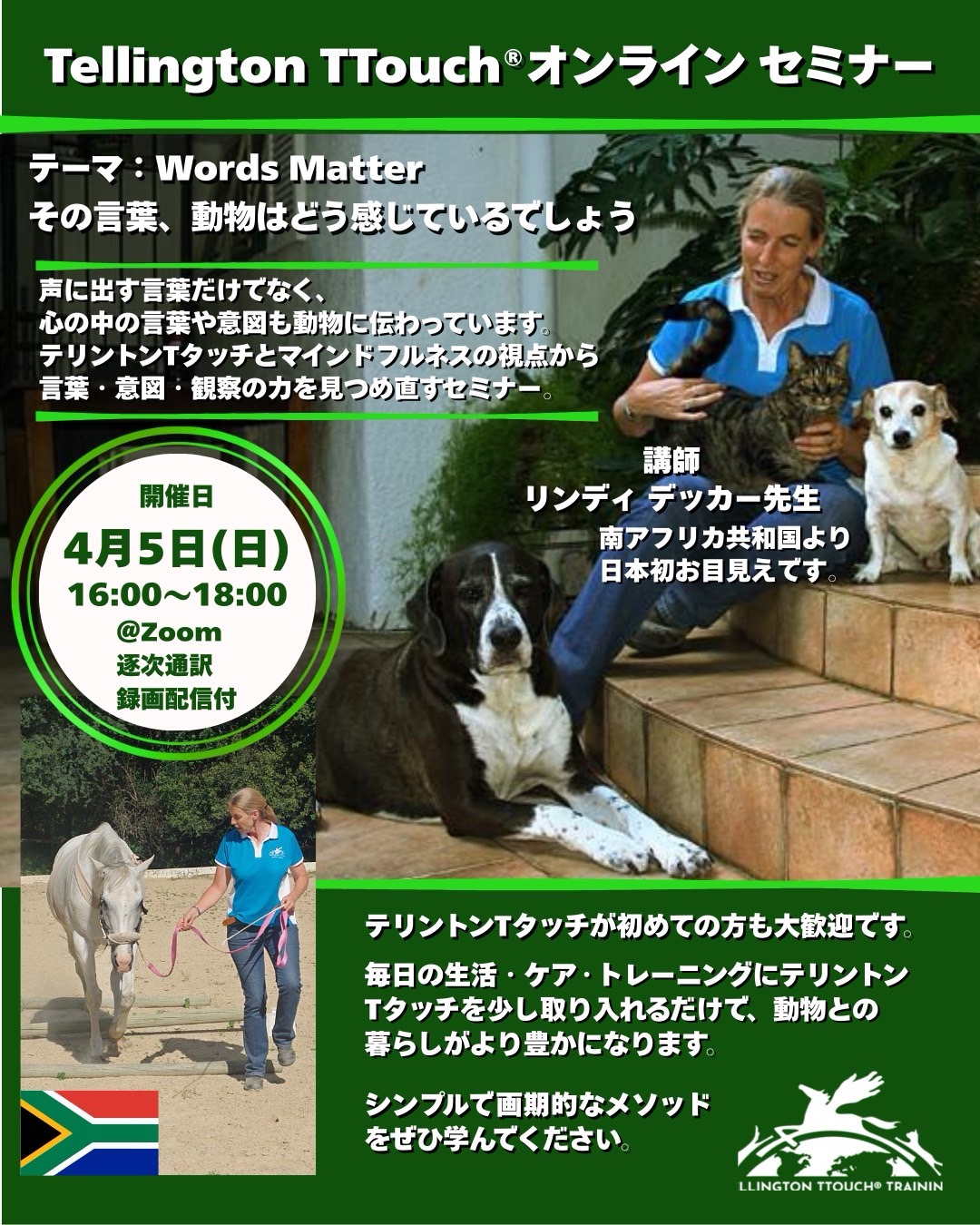 日本発　南アフリカTタッチインストラクターによるオンラインセミナー