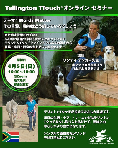 日本初　南アフリカTタッチインストラクターによるオンラインセミナー