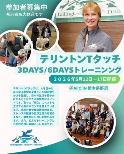 テリントンタッチコース