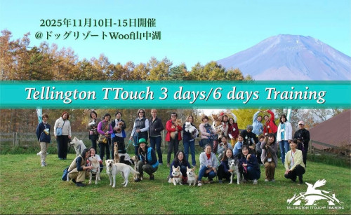 11月テリントンTタッチコース Woof