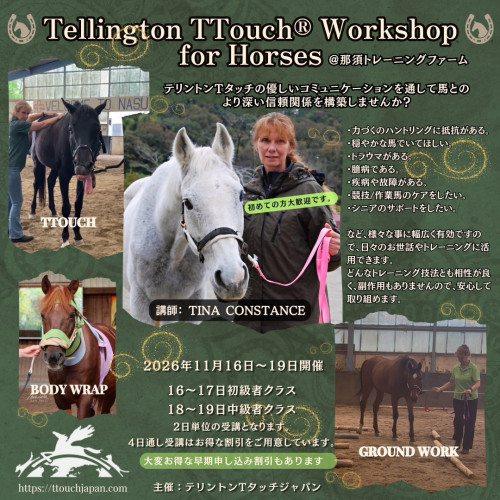 １１月ティナ先生による馬のためのワークショップ