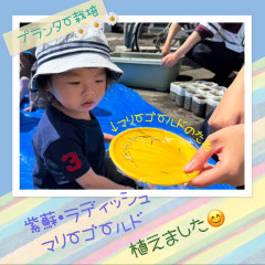 IMG_1748.PNG