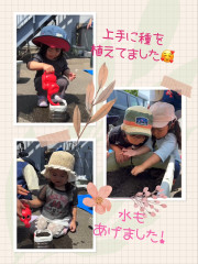 IMG_1750.PNG