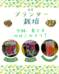プランター(3).png