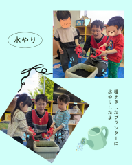プランター(1).png