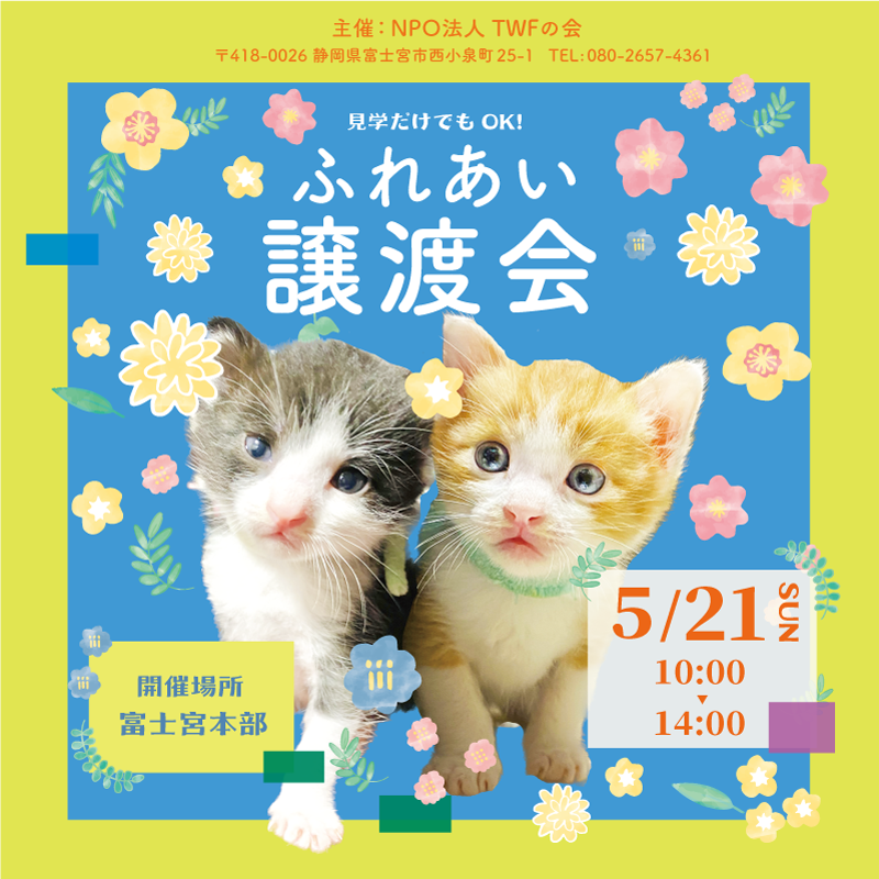 譲渡会開催いたします