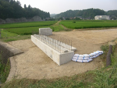 RIMG9008.jpg