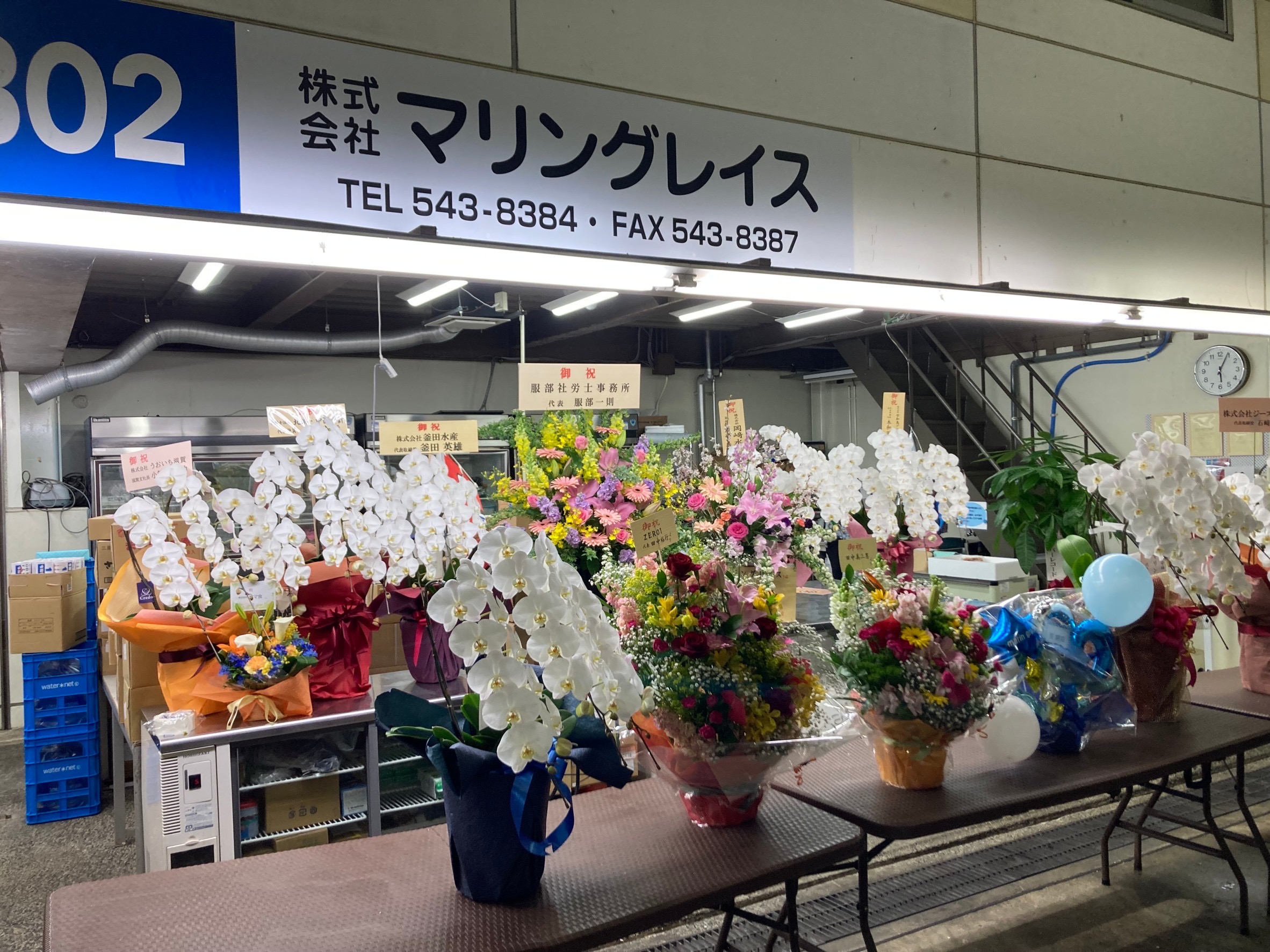 朝市