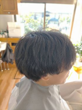 2026 4.3 pa-ma22.jpg